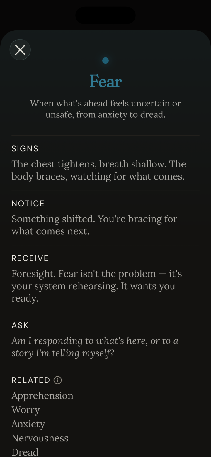 Feal's detail view for Fear: how it shows up in the body, what to notice, what it offers, a question to ask yourself, and related shades like Apprehension, Worry, and Anxiety.